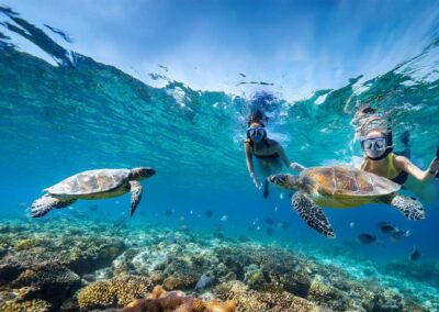 mergulhadores com tartarugas no fundo do mar na ilha do sal em cabo verde no passeio taruga sal tours
