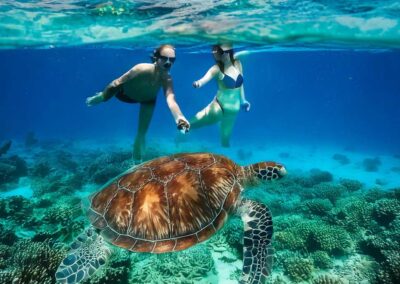 tartaruga no fundo do mar na ilha do sal em cabo verde no passeio taruga sal tours